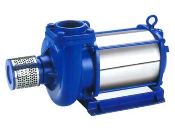 Submersible Pump Repairing And Maintenance Service
